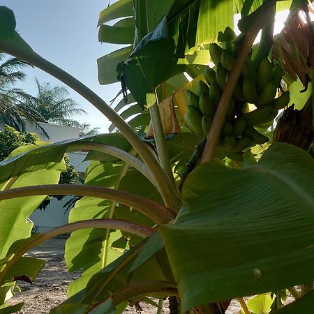 Case Traditionnelle Diola Au Bord De L'Ocean Cap Skirring Zewnętrze zdjęcie